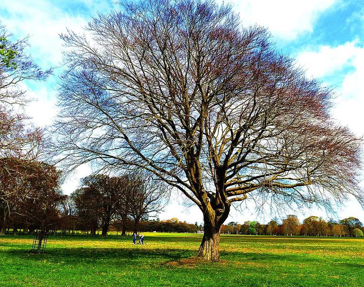 游凤凰古城游记,游凤凰古城旅游攻略三日游