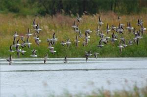 浙江省宁波市地址,浙江省宁波城区介绍