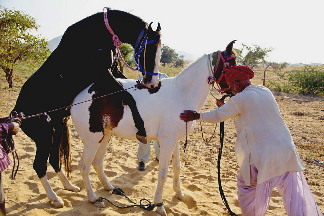 拍马都追不上的成语,拍马都赶不上的成语
