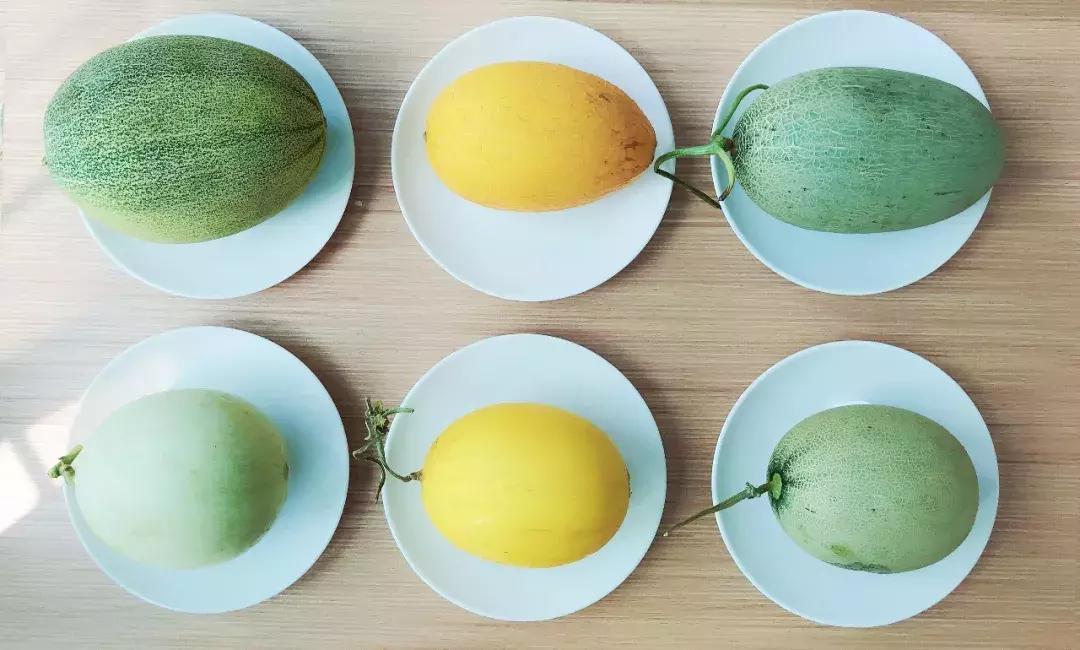 铚滅摐娴嬭瘎,铚滅摐瀵规瘮娴嬭瘎