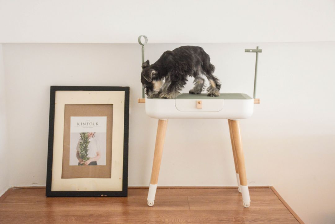 未来5年宠物智能产品,宠物产品logo设计