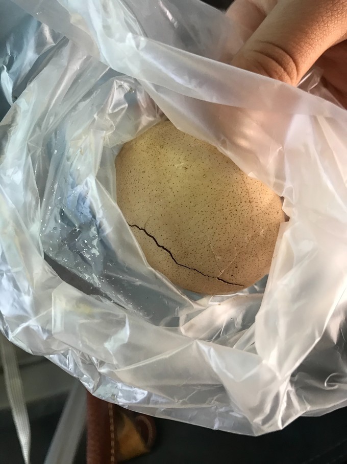 台湾环岛15天自由行攻略,台湾自由行环岛14天攻略