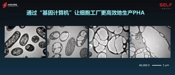 塑料降解微生物的发展,塑料可以被微生物降解吗