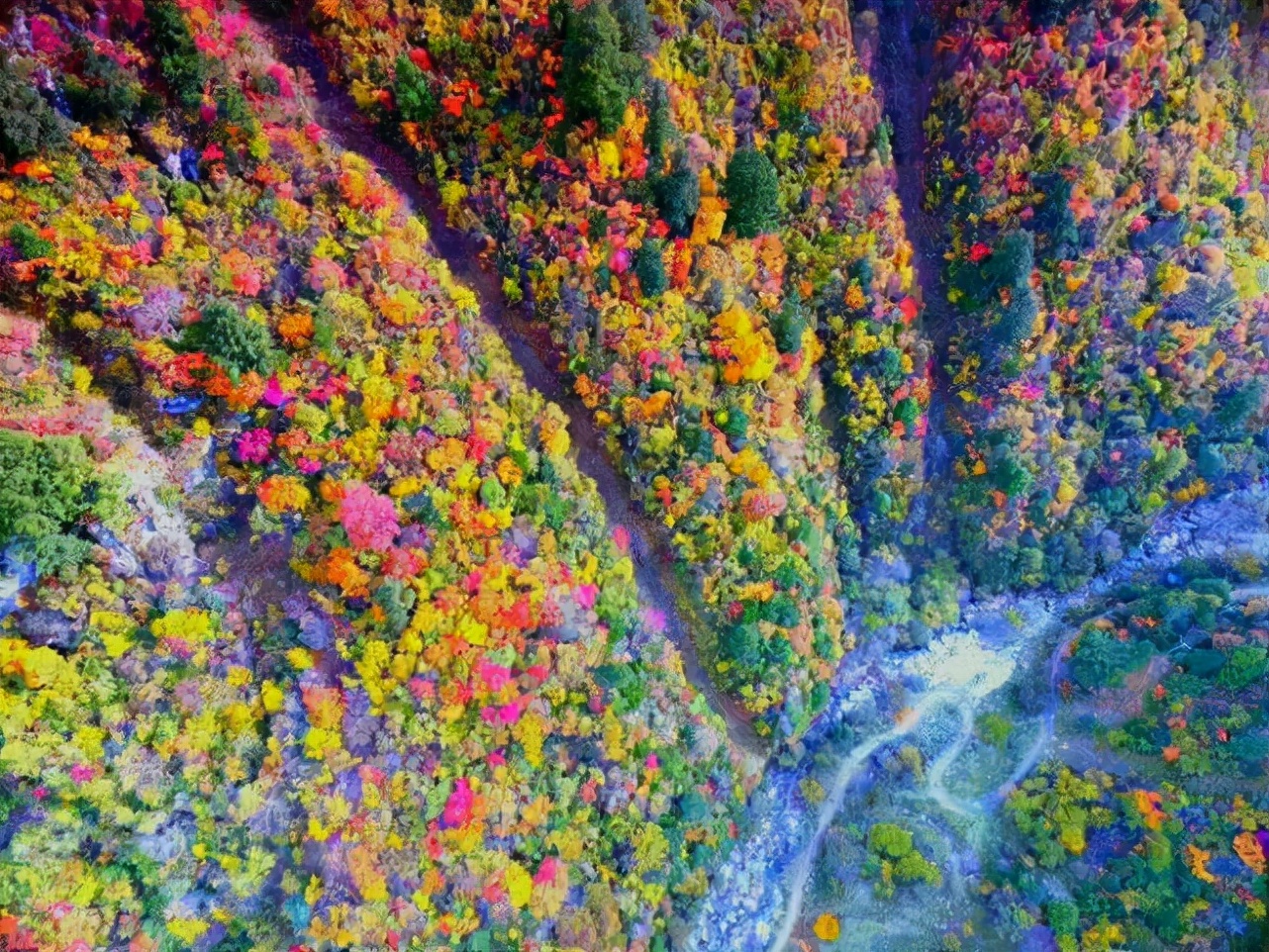 阿坝州红叶之旅,什么时候去阿坝州看秋景最佳