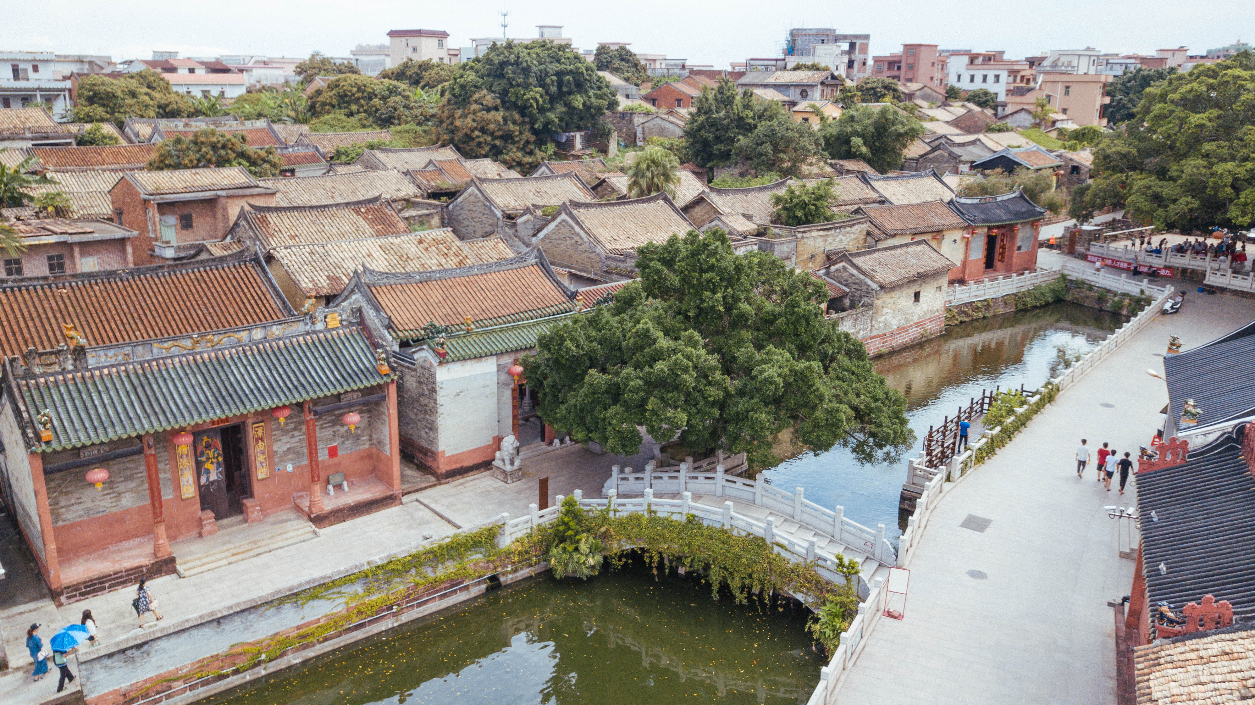 樟木头有什么好的酒店,樟木头哪间酒店环境好
