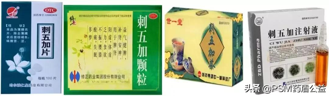 宁得一把五加,不用金玉满车—记五加科植物“刺五加”