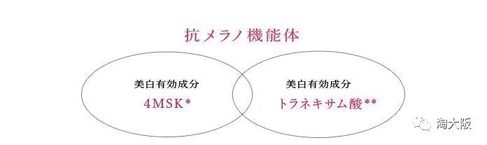 资生堂经典药妆,资生堂悦薇日本药妆店