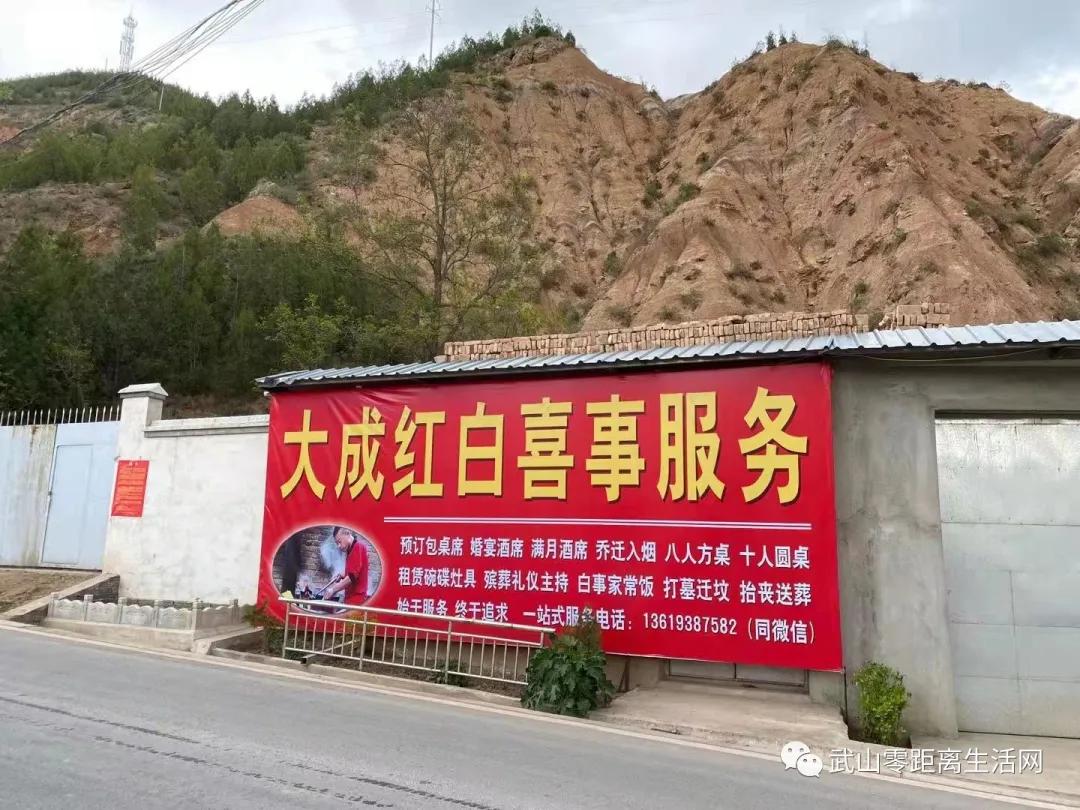 武山龙台油菜花节,湖口县武山油菜花节