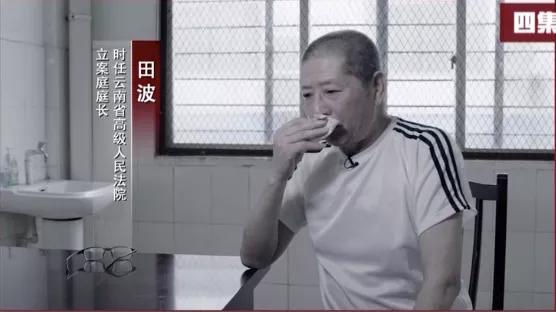 老虎后续采访视频,老虎随后一幕曝光让人揪心