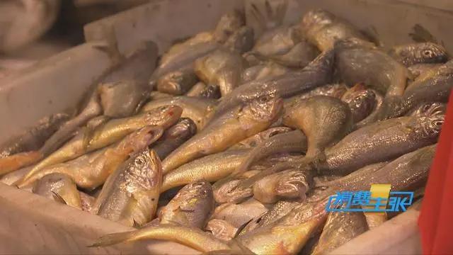 三亚海鲜市场皮皮虾多少钱一斤,海鲜市场上的皮皮虾