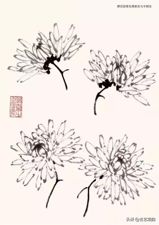 写意菊花小品国画大全,国画写意菊花和螃蟹