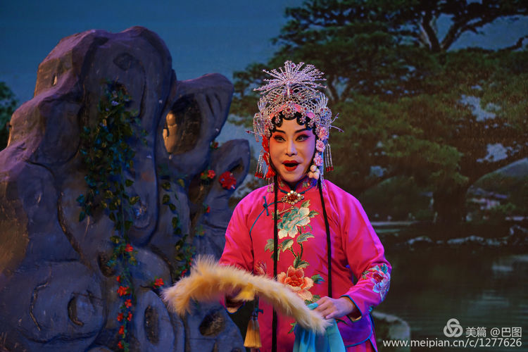 曲剧花为媒经典唱段全场,曲剧花为媒报花名完整唱段