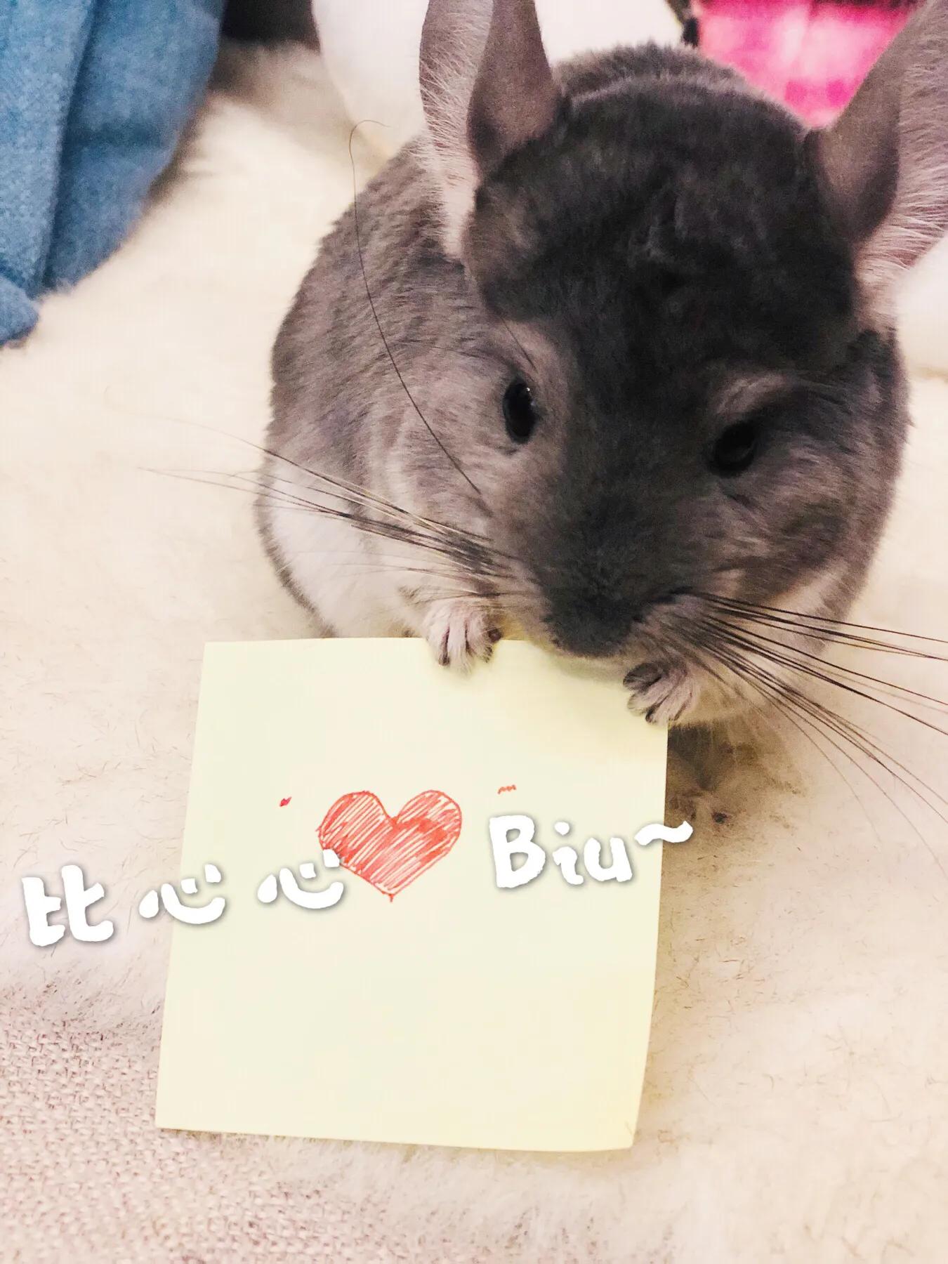 出行行李箱如何打包,如何整理行李箱最节省位置