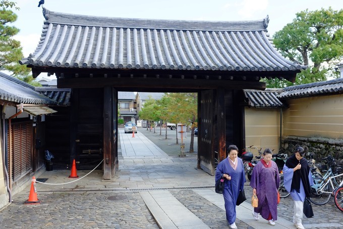 京都赏枫2022,京都赏枫必去景点有哪些好玩的