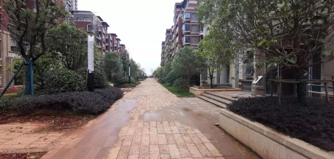 万达滨江城房子值得买吗,九龙湖万达茂学区房