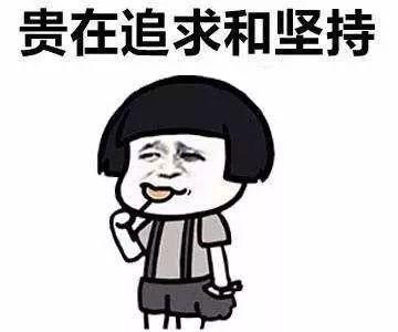 苹果6s跟6sp哪个是最强钉子户,iphone6s和iphone6到底谁是钉子户