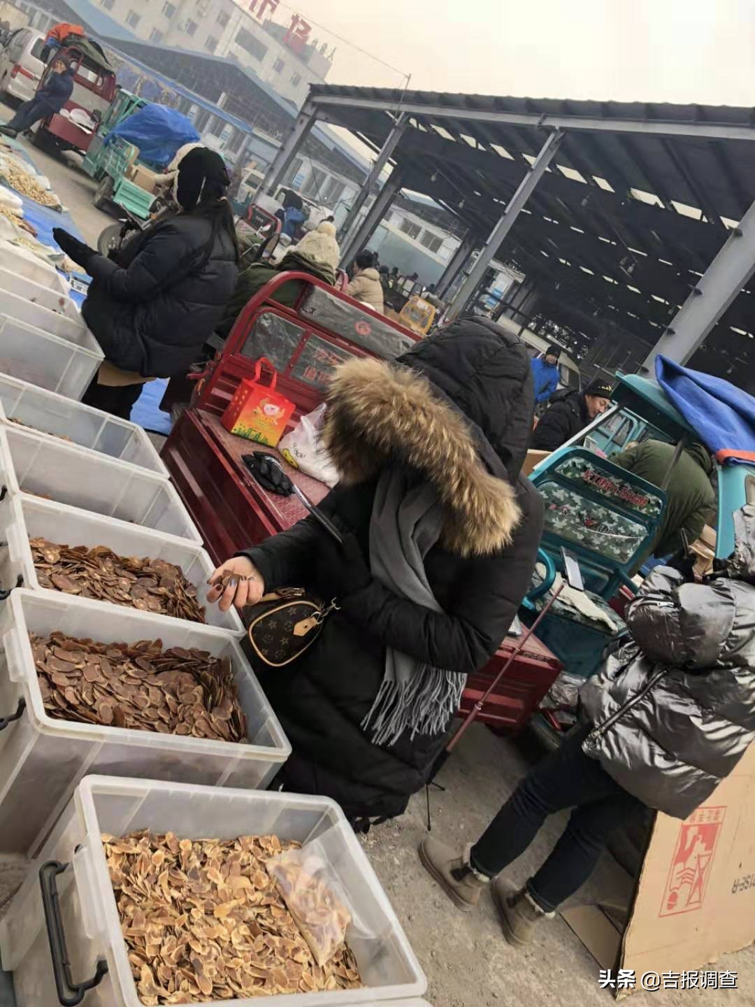 参茸土特产直播,长白山参茸东北土特产