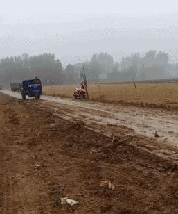 这两位大哥真牛，不知这树还能让他们爽多久