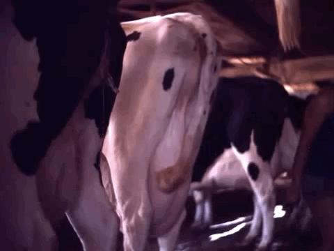 孩子膀胱容量130,儿童最大膀胱容量197正常吗