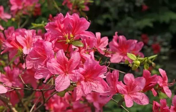 鹰潭好还是贵溪好,贵溪是一个怎样的地方