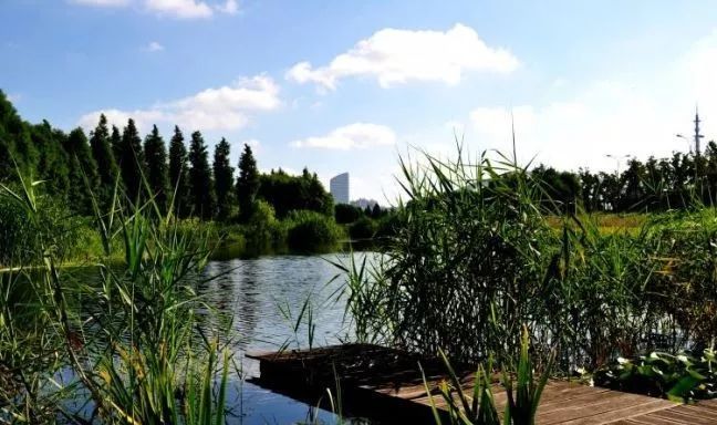 上海可以一路玩下来的地铁线,上海最新41条地铁