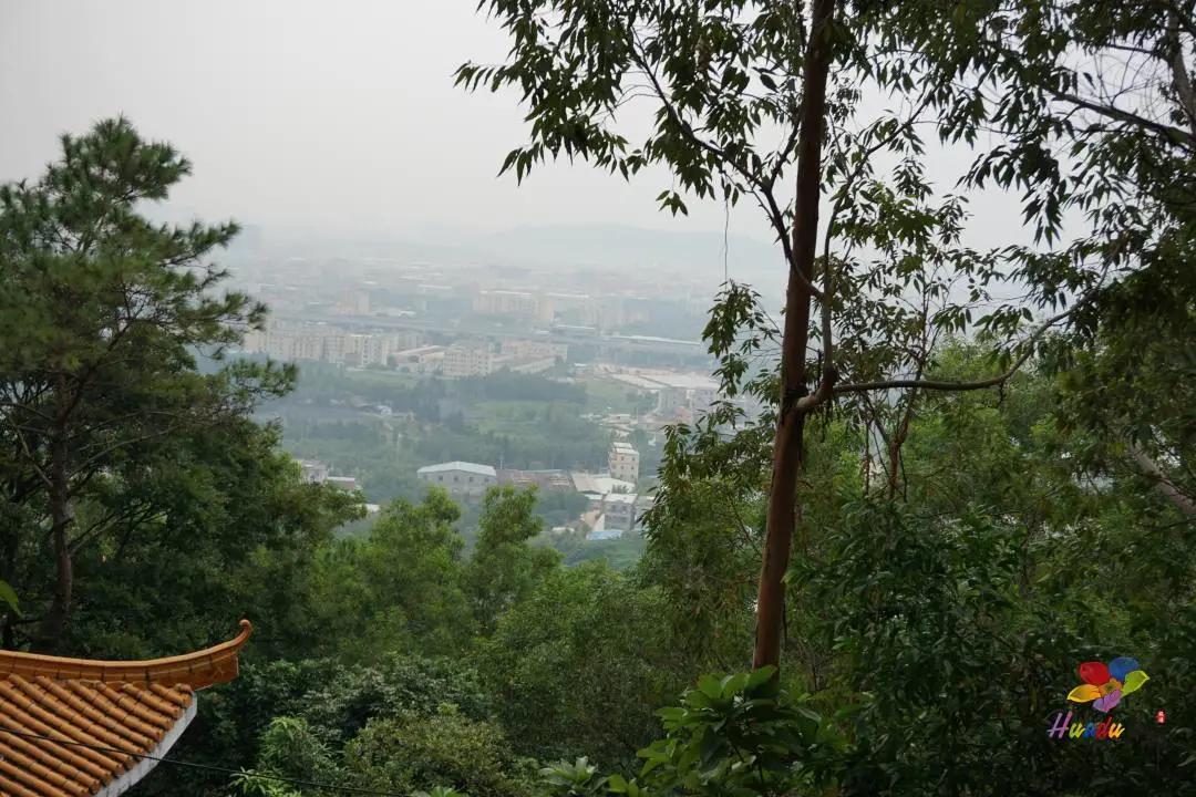 遇见狮岭真实视频,遇见狮子京剧