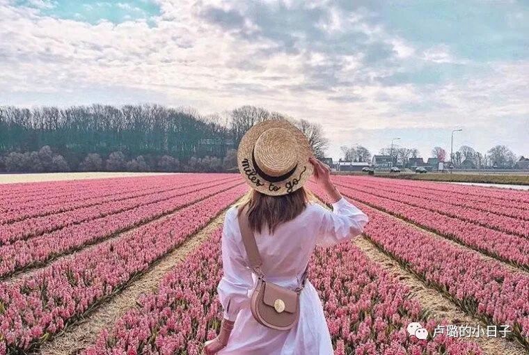 超百搭又实用的防晒帽,女明星防晒帽