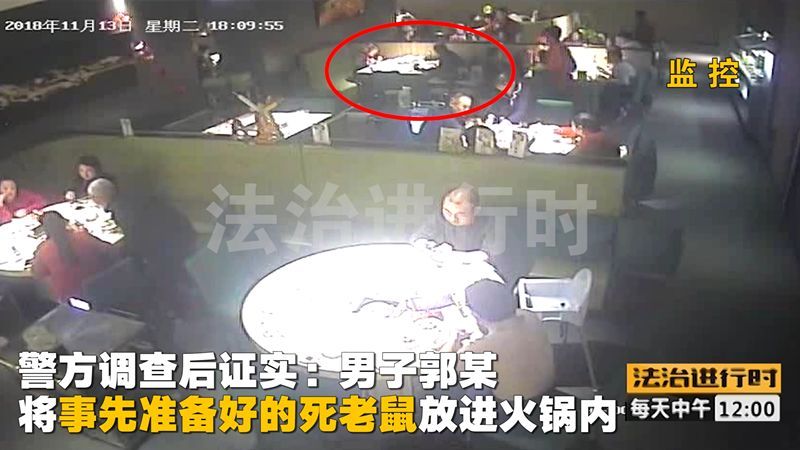 海底捞老鼠门事件全过程,海底捞吃出老鼠事件