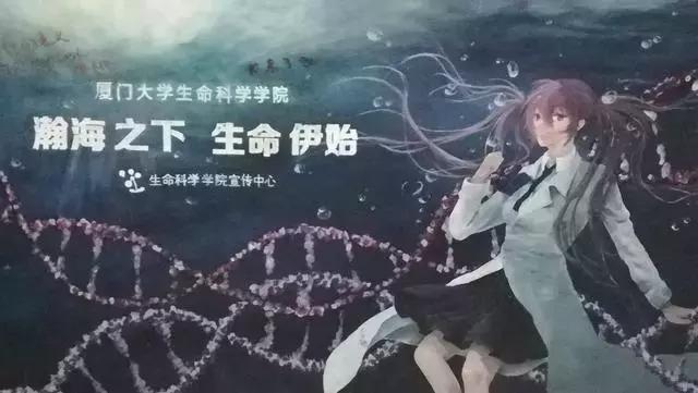 厦大后面的涂鸦隧道,厦大的涂鸦墙可以拍照吗