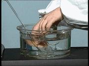 2018中考初中化学实验题大归纳,化学中考实验知识点2018