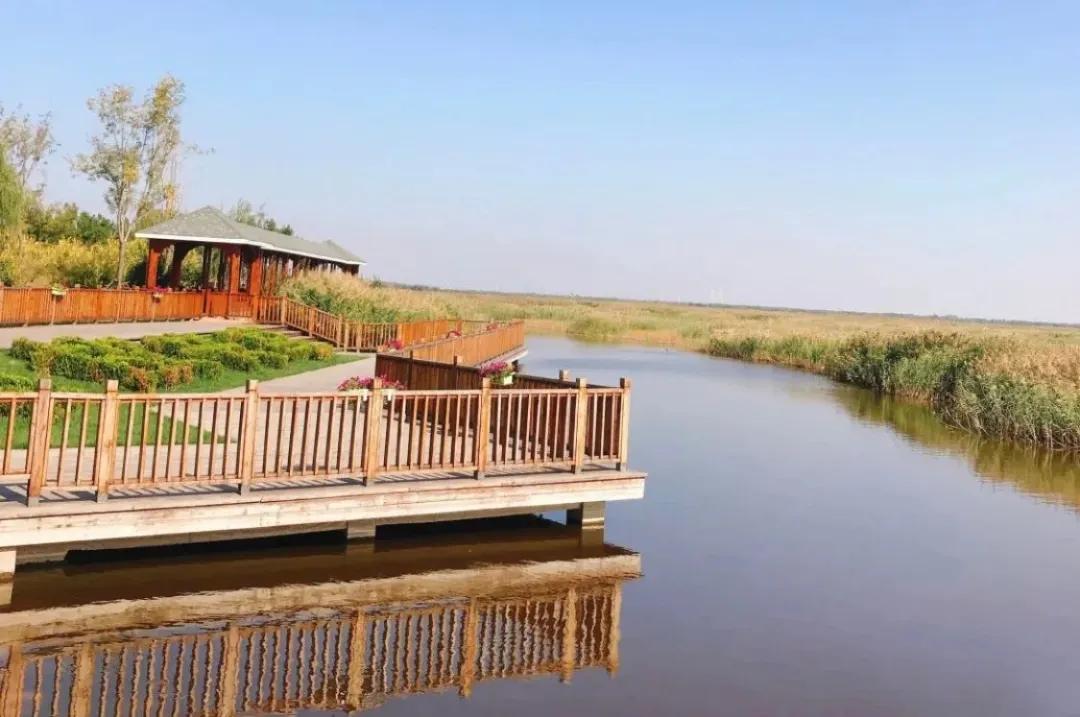 一个不出郑州的踏青好去处,天津春游公园推荐