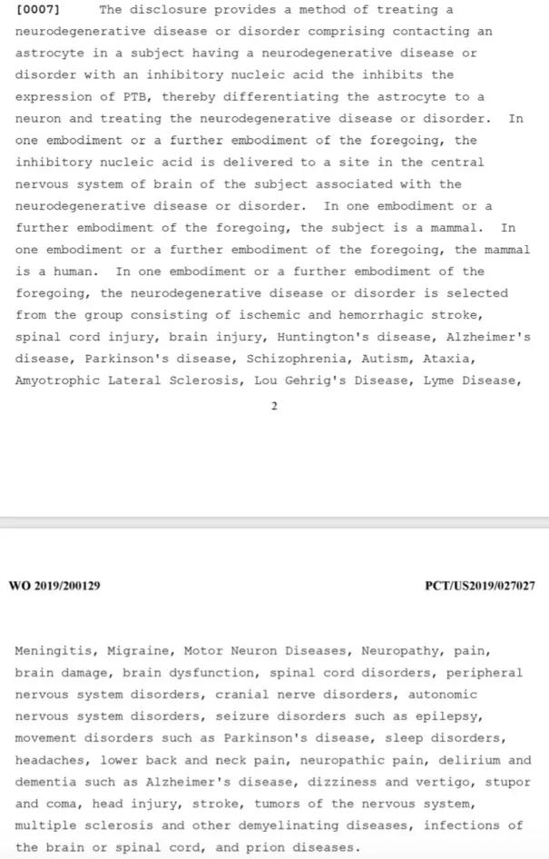 杨辉指付向东讲的与发表的不同