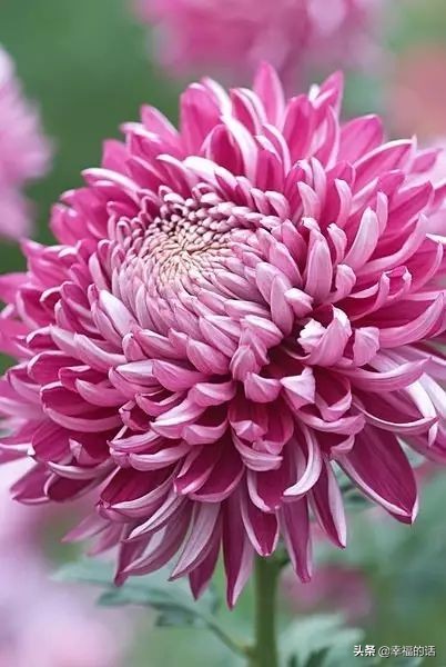 不生气歌儿歌,不生气的消气歌