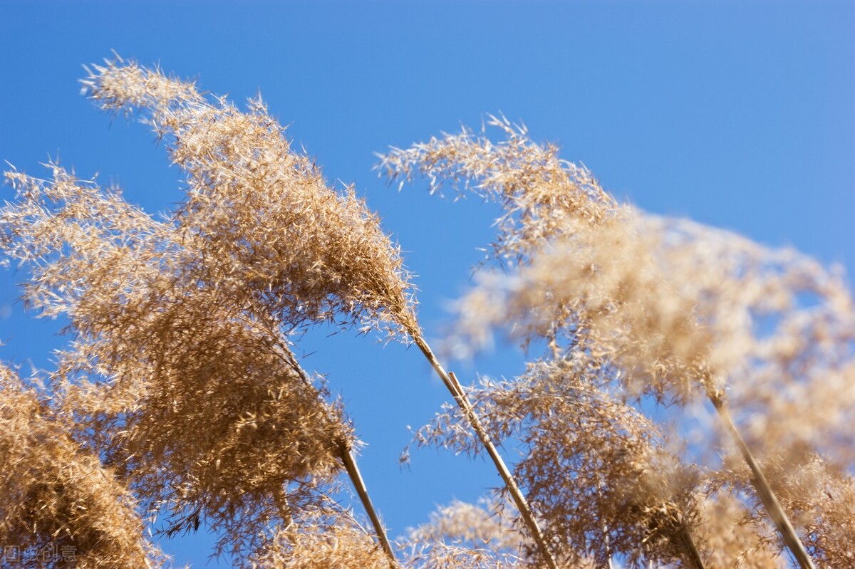 起夜次数多的中医辨证,晚上起夜多次尿多什么原因中医