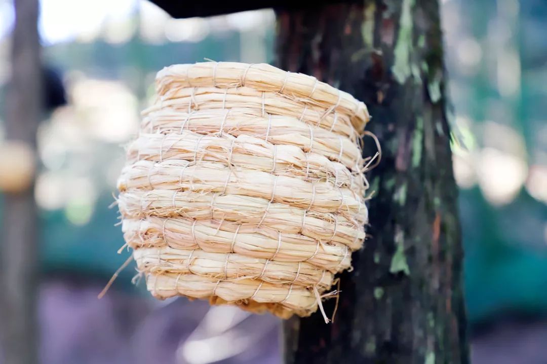 昆明亲子游户外旅行地,昆明周边户外游玩景点推荐带孩子