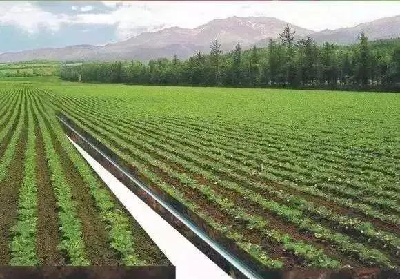 物联网水肥一体化以色列,菜吧家庭农场运营