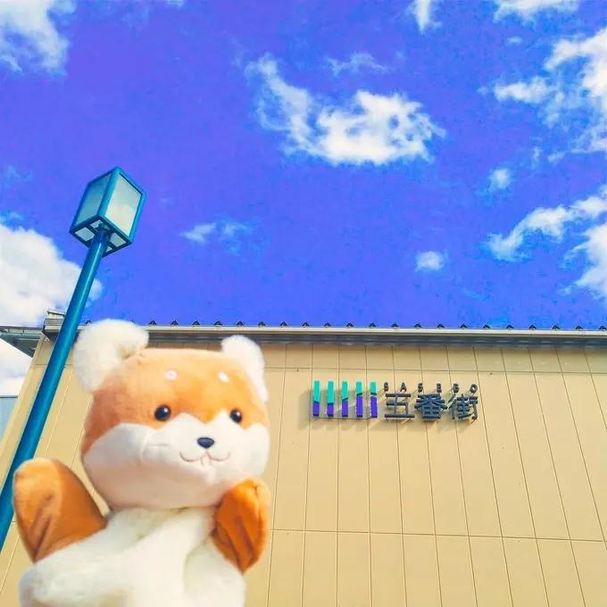 邮轮上班对身体有什么影响,在邮轮上班有危险吗