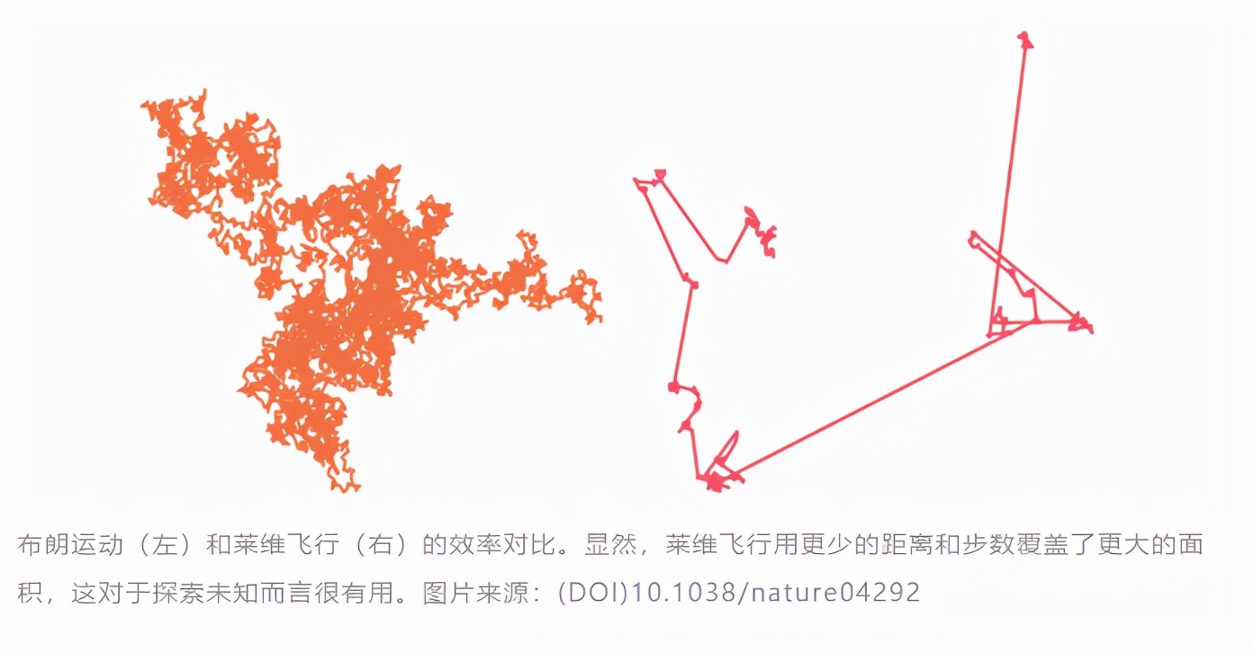 为啥总是打不中苍蝇,为什么总是打不中苍蝇