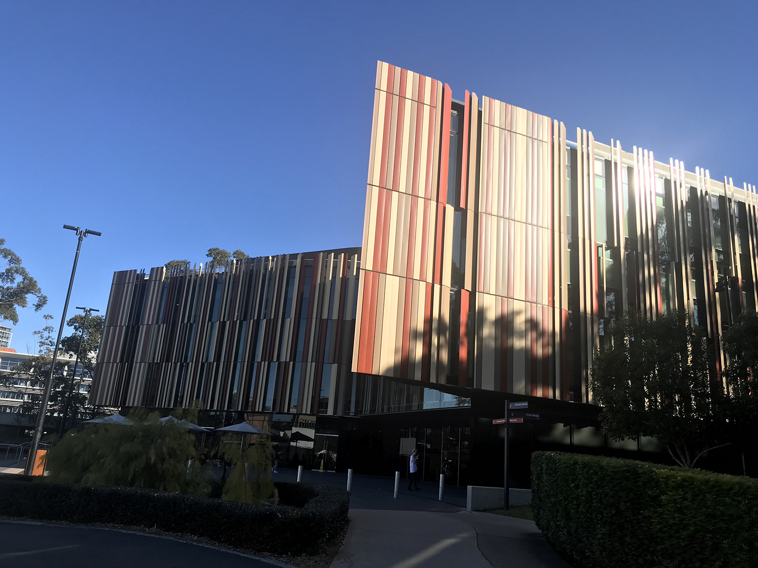 麦考瑞大学物理治疗博士课程：权威认证+1000小时临床实践