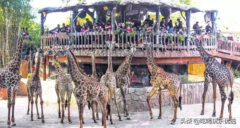 「国庆欢乐提前购」早买优惠！佛山5A长鹿休博园双人套票158元起