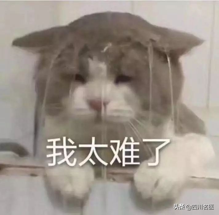 为什么会得痔疮听听医生怎么说,为什么医生很少得痔疮呢