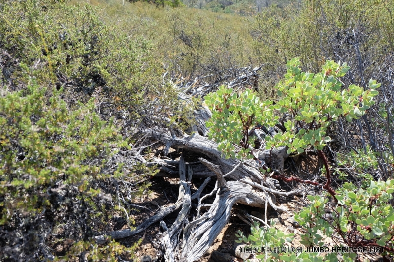 第3034回：无风雨不知花可惜，无患难不知人可谋