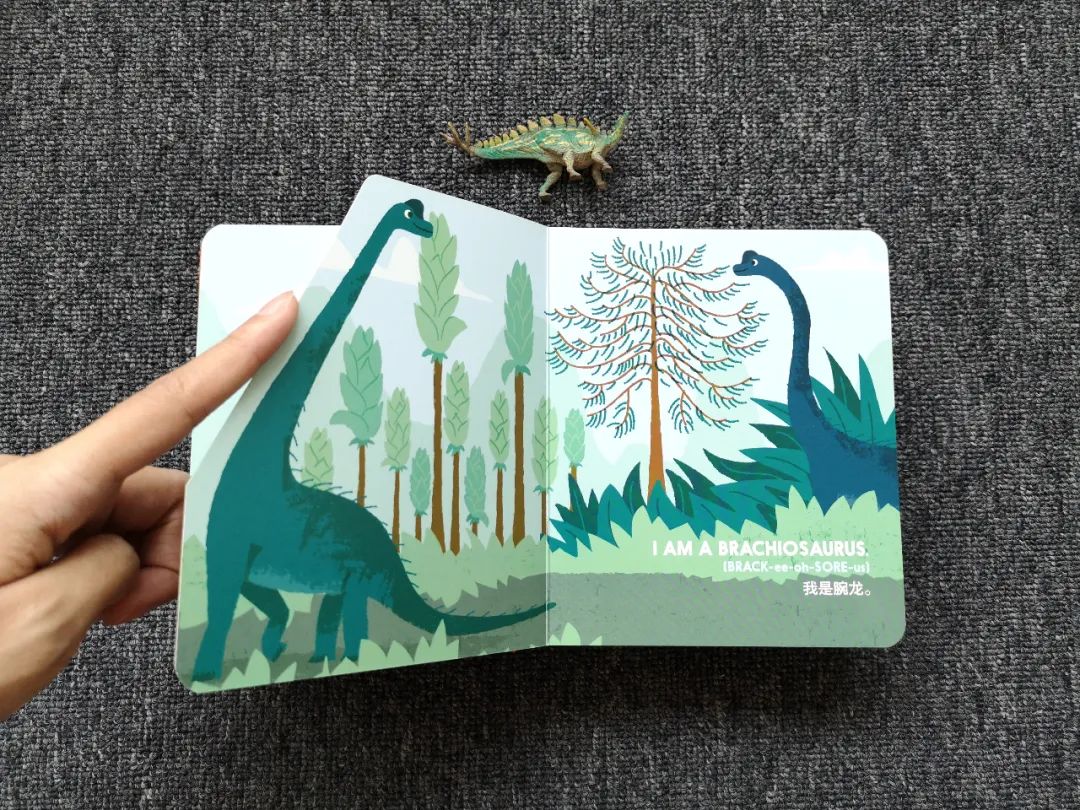 适合孩子看的恐龙科普书,适合5岁孩子看的恐龙科普书