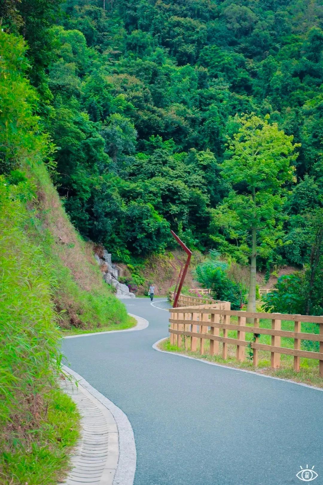 深圳西丽玻璃栈道,深圳海滨栈道重新开放