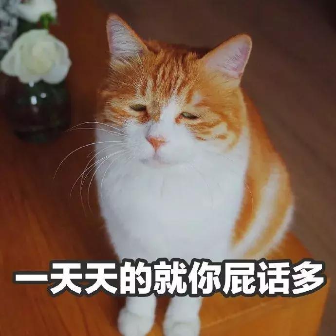 秋冬好用的水乳精华推荐,秋冬大牌保湿水乳推荐