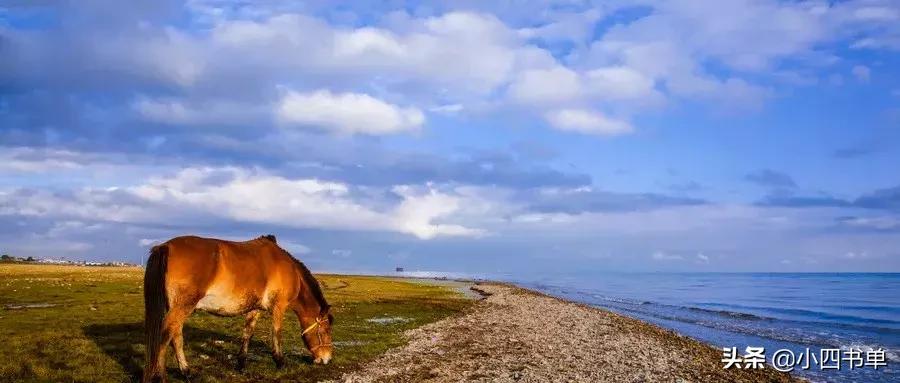 焉知非福塞翁失马语录,塞翁失马焉知非福符合哪家学说