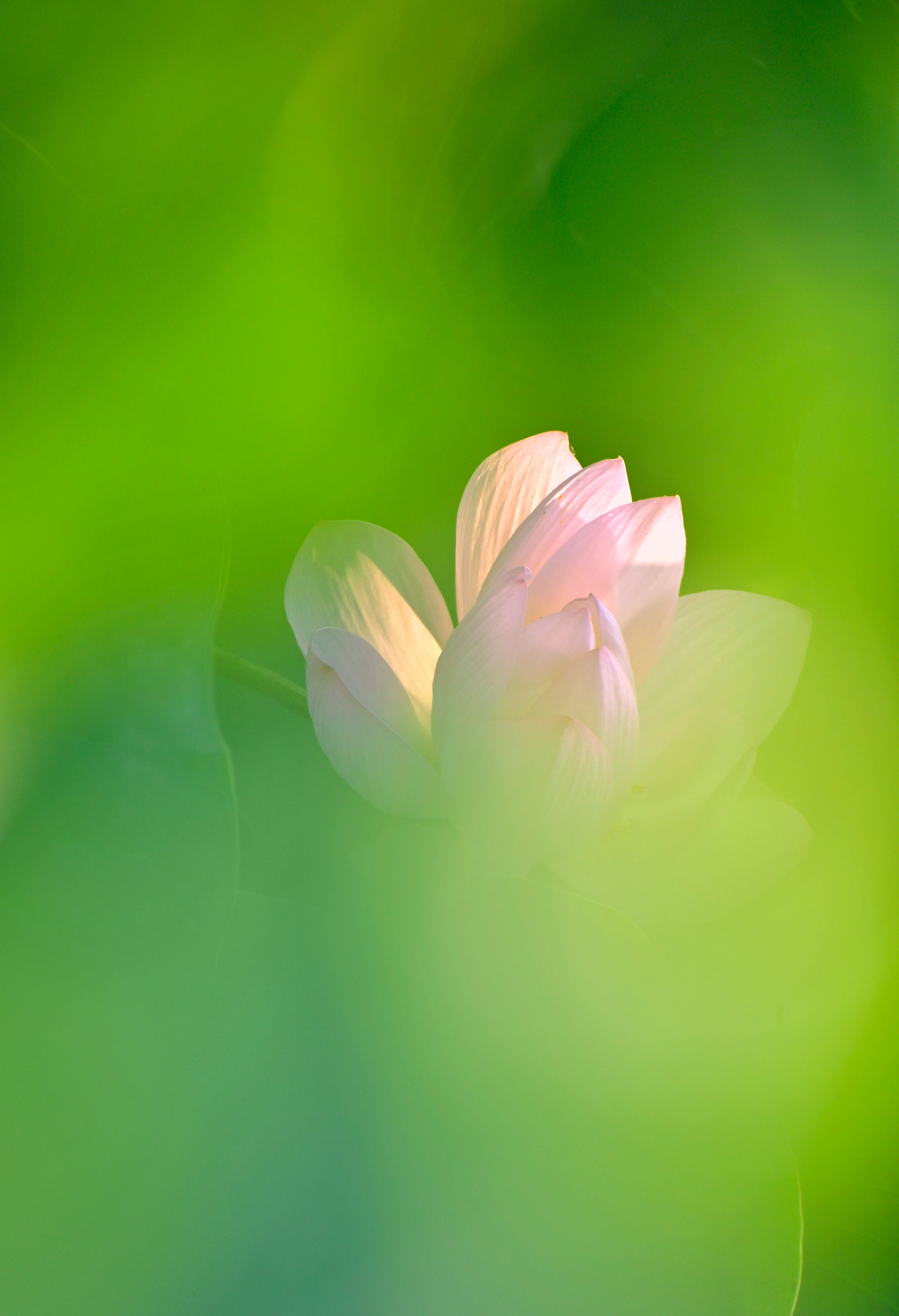 我与尼康北京行,尼康70-300mmf4.5-5.6g画质