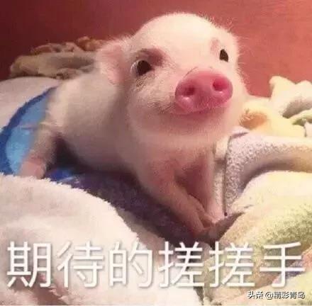 2005年青岛太平路学区房价格,青岛西海岸学区房房价多少一平