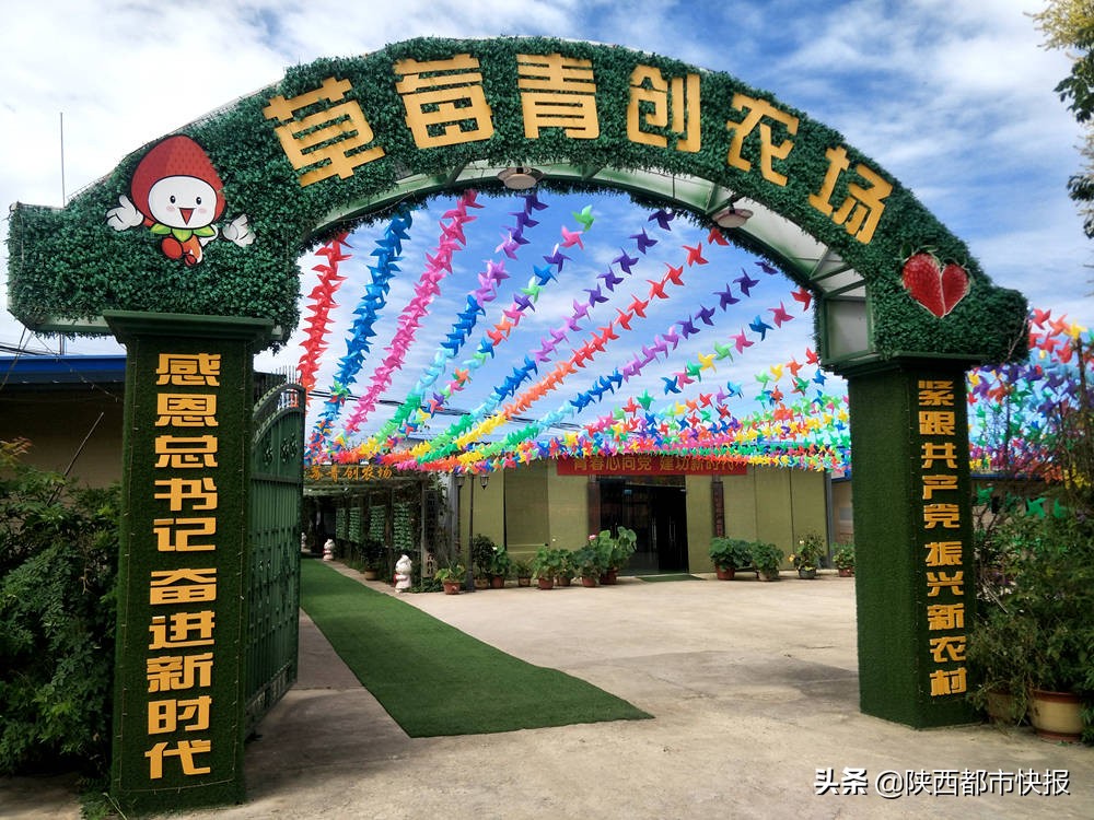 宋博：“愣娃”富乡