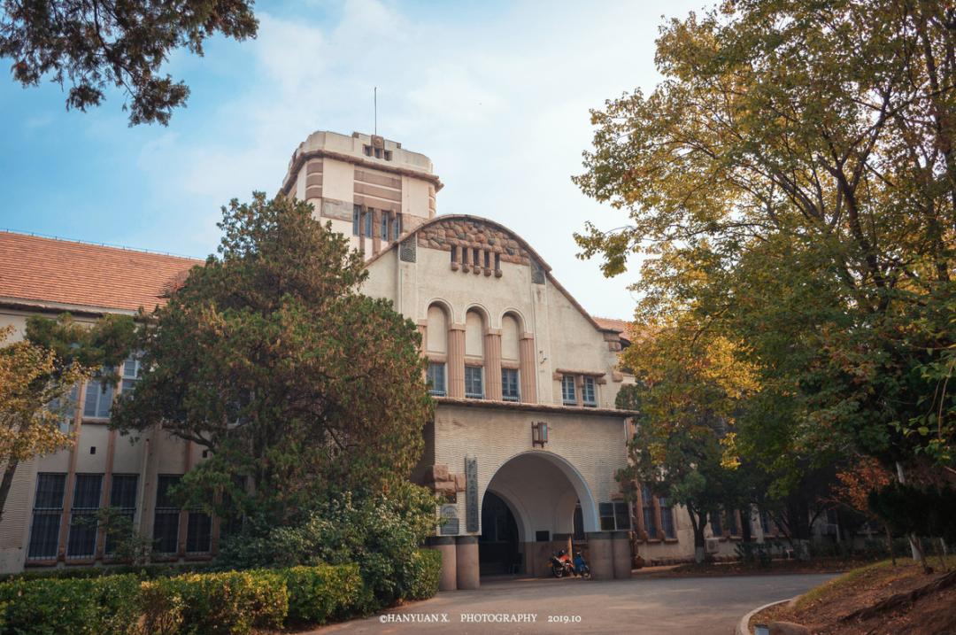 海滨老城泡桐花 (海滨老城紫色泡桐花)